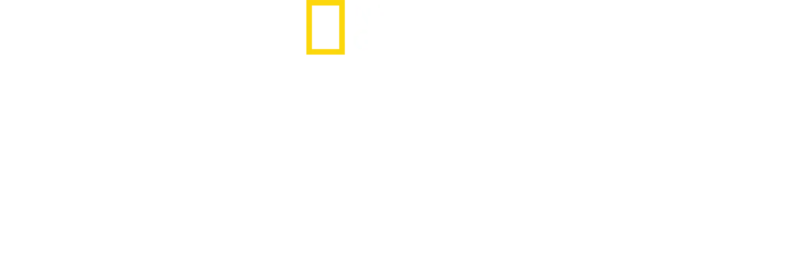 Afrika'nın Ölümcül Avcıları