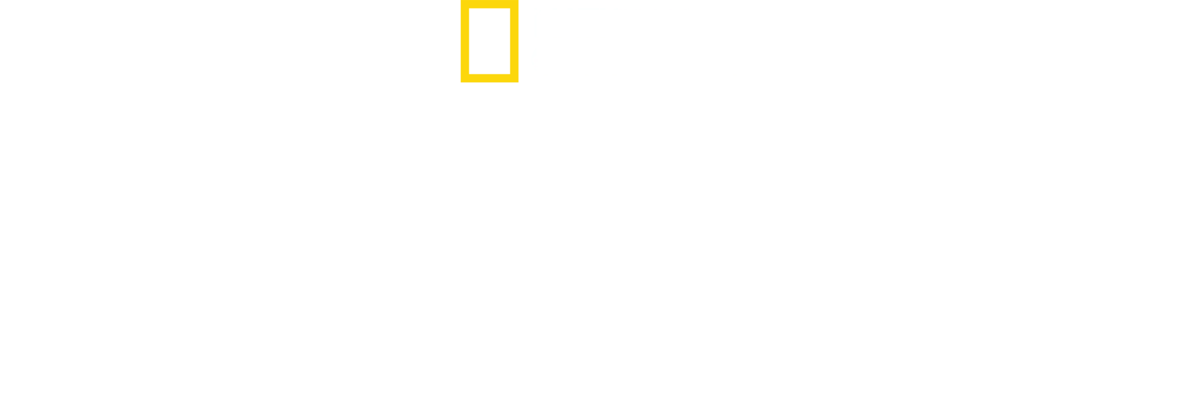 Afrika'nın Ölümcül Avcıları