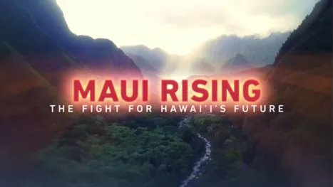 thumbnail - Maui Rising: The Fight For Hawaii's Future