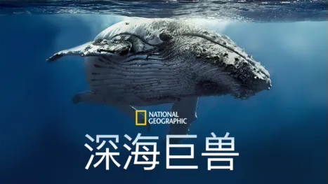 thumbnail - 深海巨兽