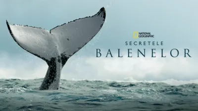 Secretele Balenelor