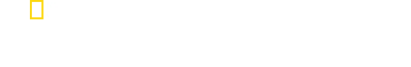 Dönüm Noktası