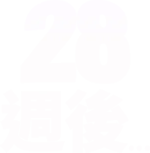 28週後…