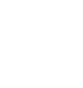 Pluto Helpt een Pootje