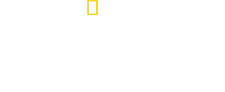 Les Rescapés de la jungle