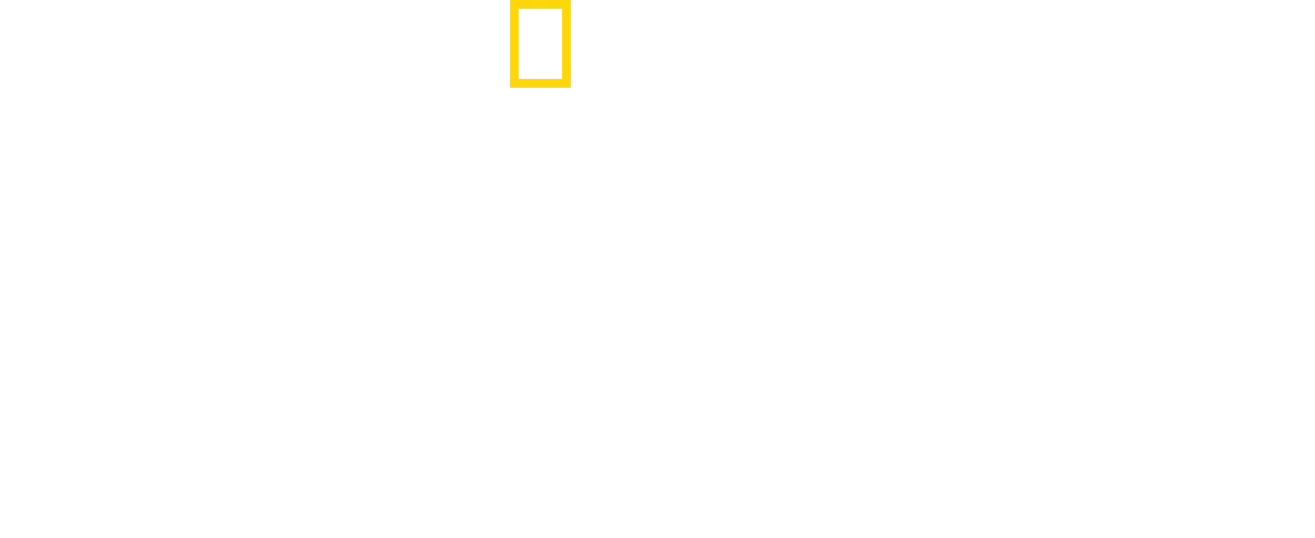Les Rescapés de la jungle