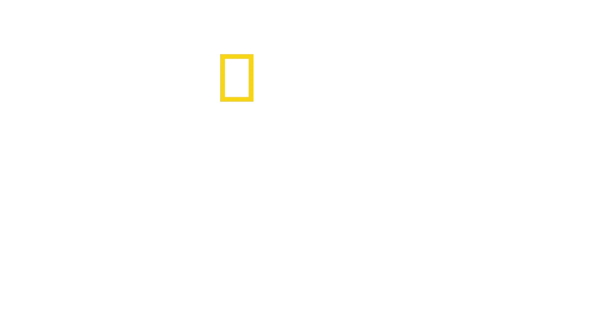 Tiburón: La historia definitiva