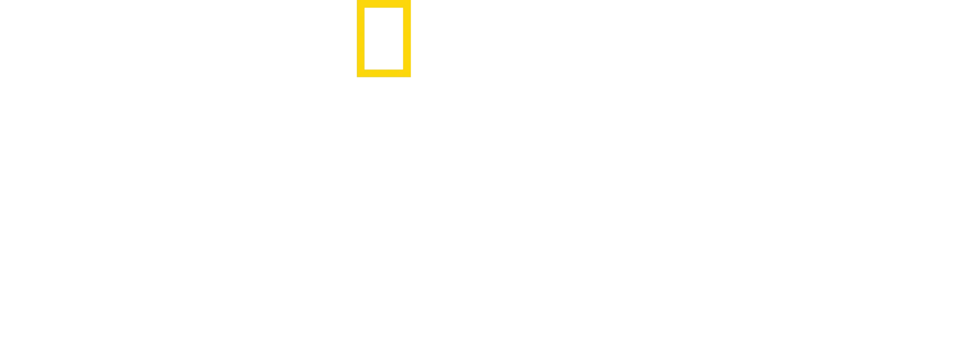 Tiburón: La historia definitiva
