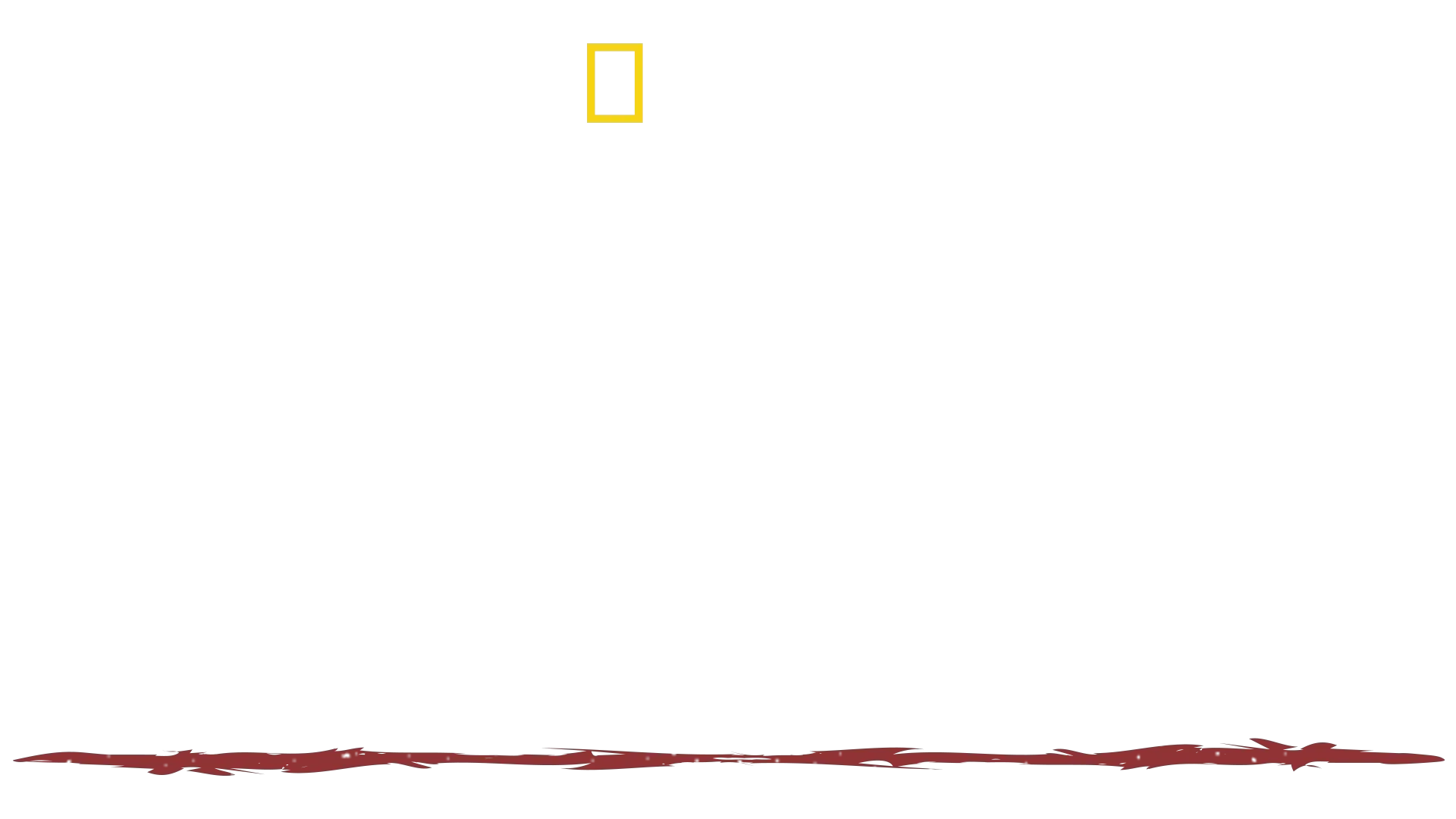 Solo contra el mundo: Hazen Audel