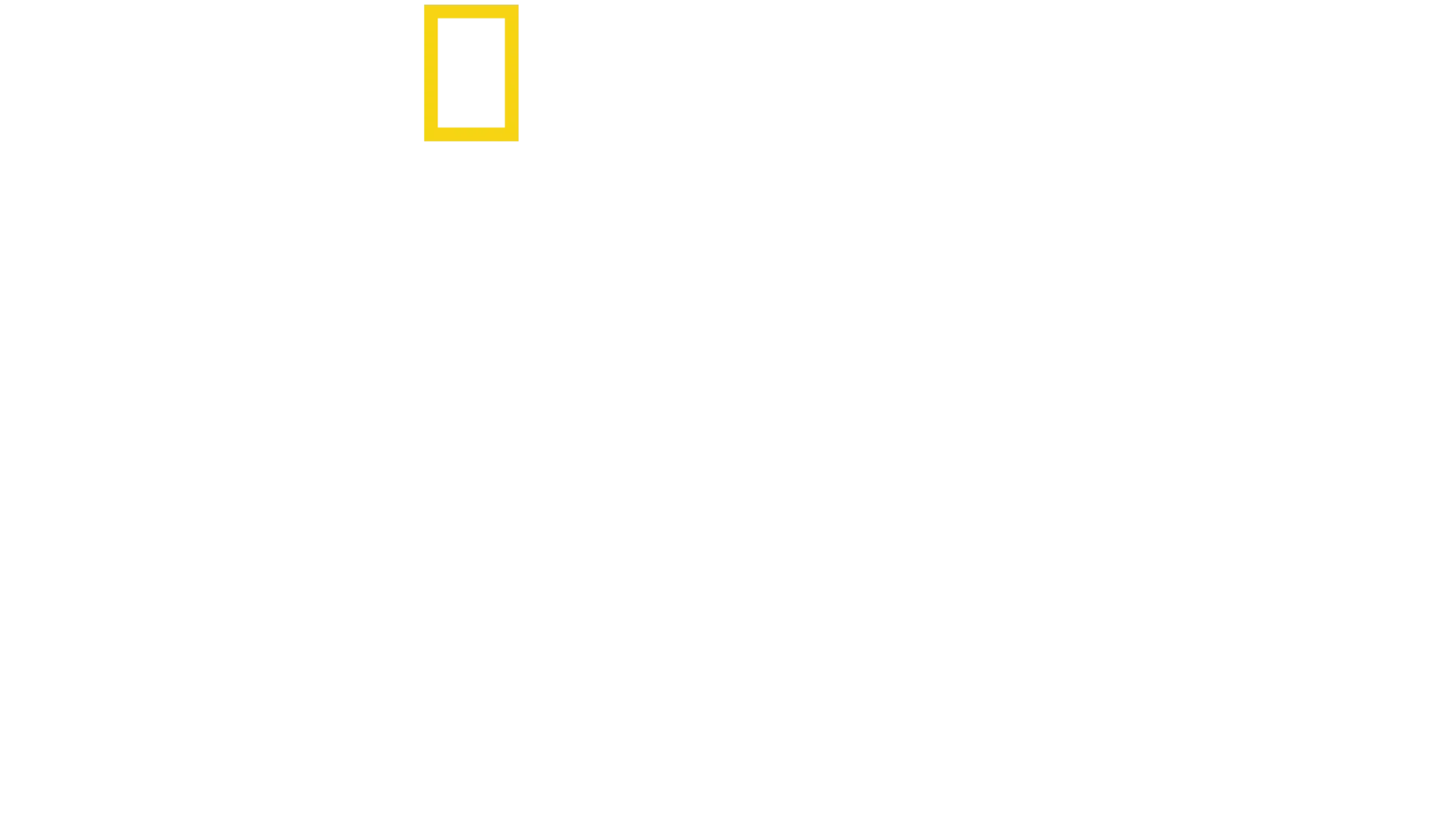 Ciudades Perdidas con Albert Lin