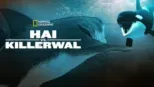 thumbnail - Hai vs. Killerwal