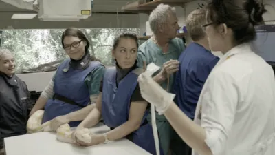 thumbnail - S1：第2話「ニシキヘビ:呼吸器疾患」