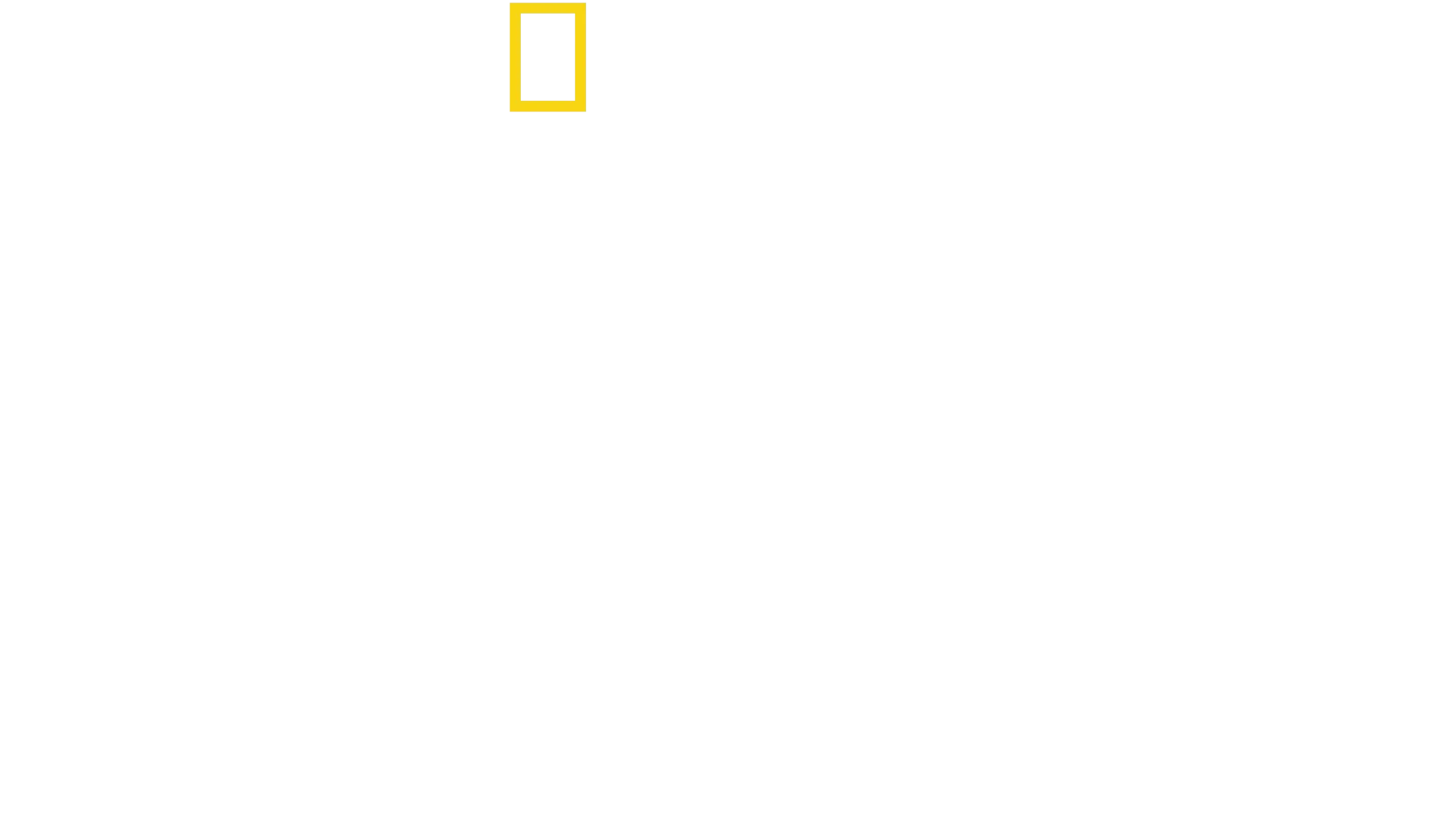 Δελφίνια από Κοντά, με τον Μπέρτι Γκρέγκορι