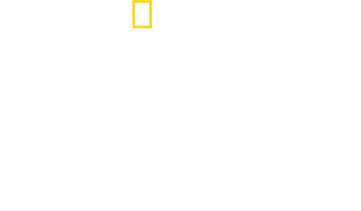 Δελφίνια από Κοντά, με τον Μπέρτι Γκρέγκορι
