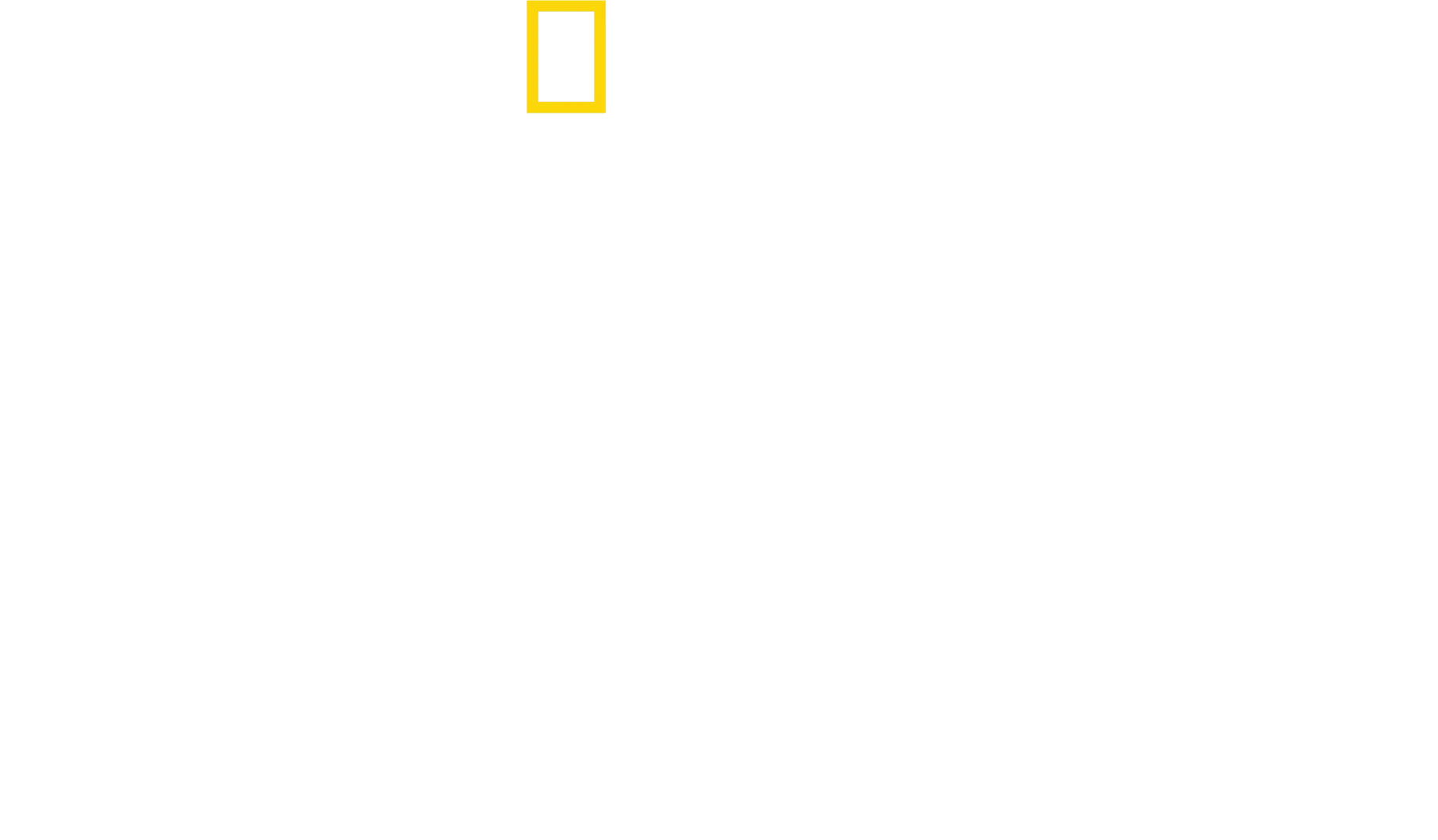 Δελφίνια από Κοντά, με τον Μπέρτι Γκρέγκορι