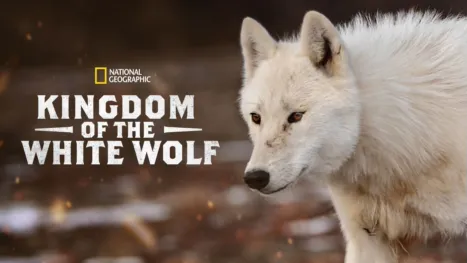 thumbnail - Kingdom of the White Wolf