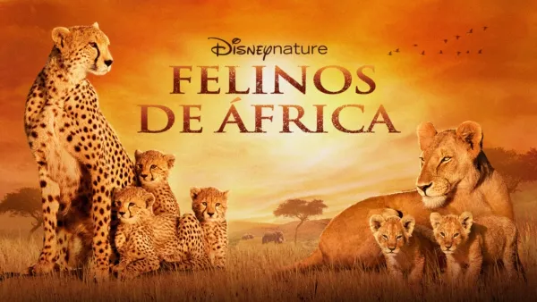 thumbnail - Felinos de África