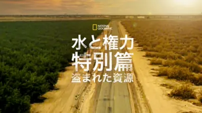 水と権力 特別篇：盗まれた資源