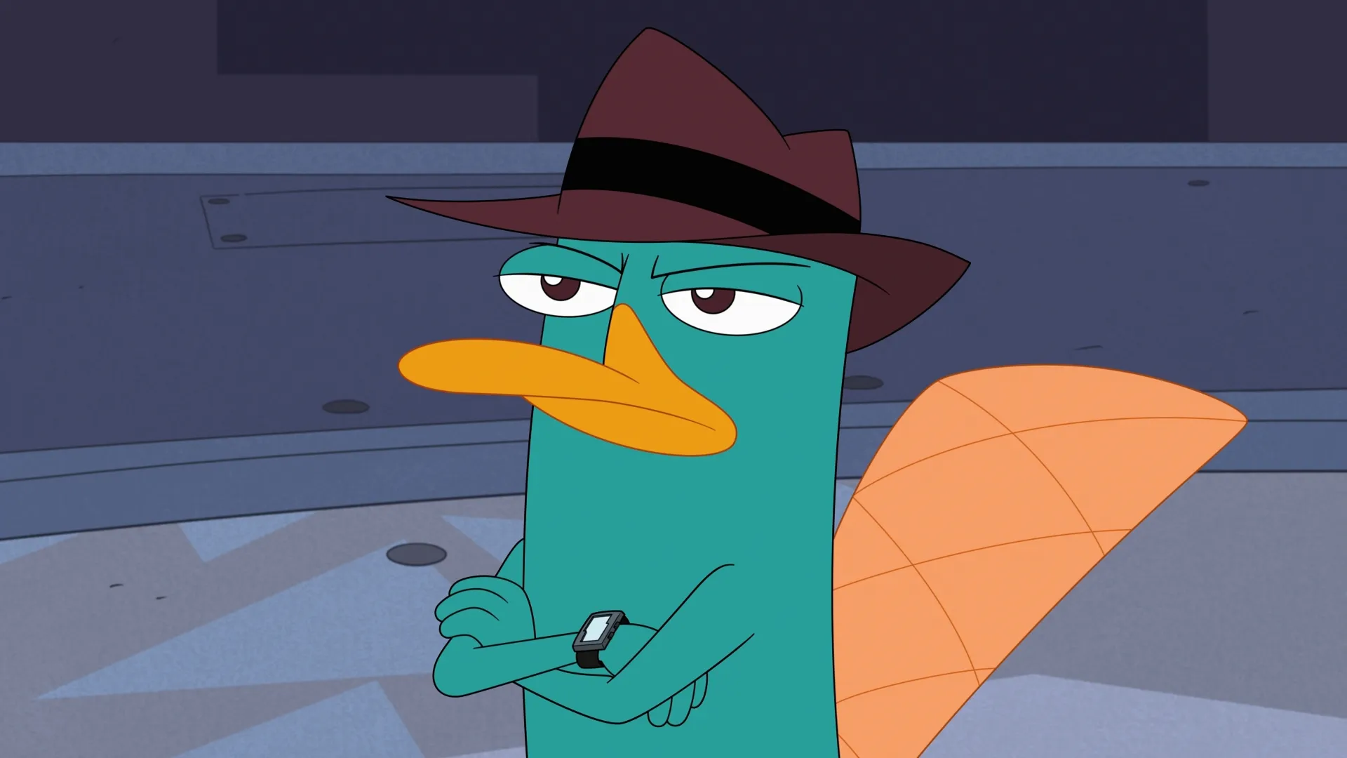Perry the Platypus (voiced by Dee Bradley Baker), wearing his fedora, stands with his arms crossed