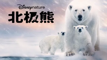 thumbnail - 北极熊