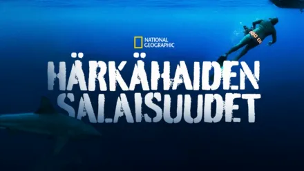 thumbnail - Härkähaiden salaisuudet