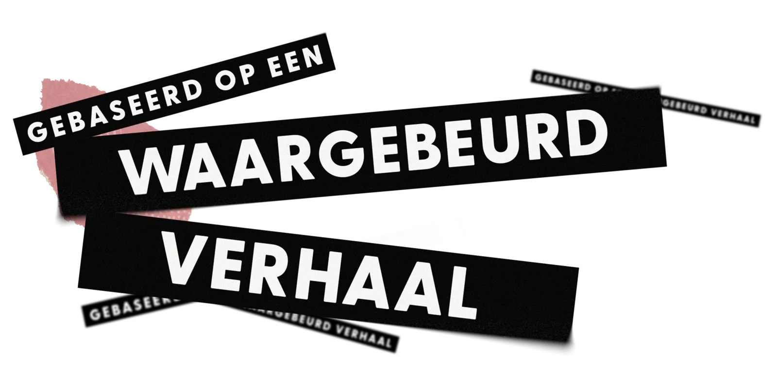 Gebaseerd op een waargebeurd verhaal