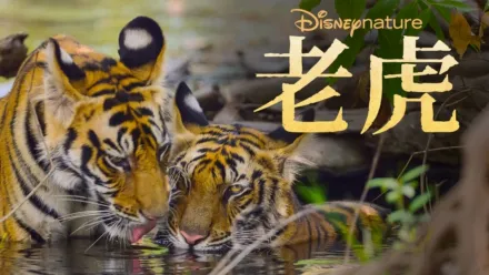 thumbnail - 老虎