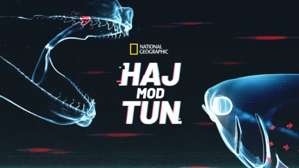 thumbnail - Haj mod tun