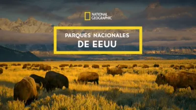 Parques Nacionales de EEUU