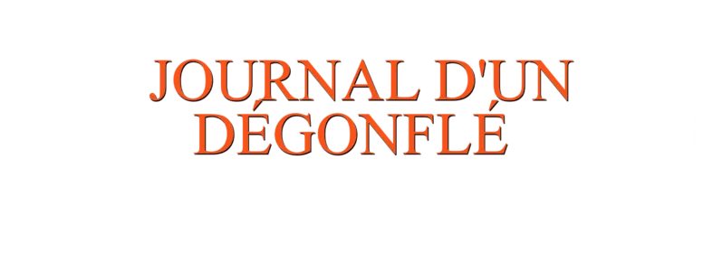Journal d'un dégonflé : Un looong voyage