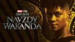 thumbnail - Čierny Panter: Navždy Wakanda