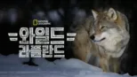 thumbnail - 와일드 라플란드
