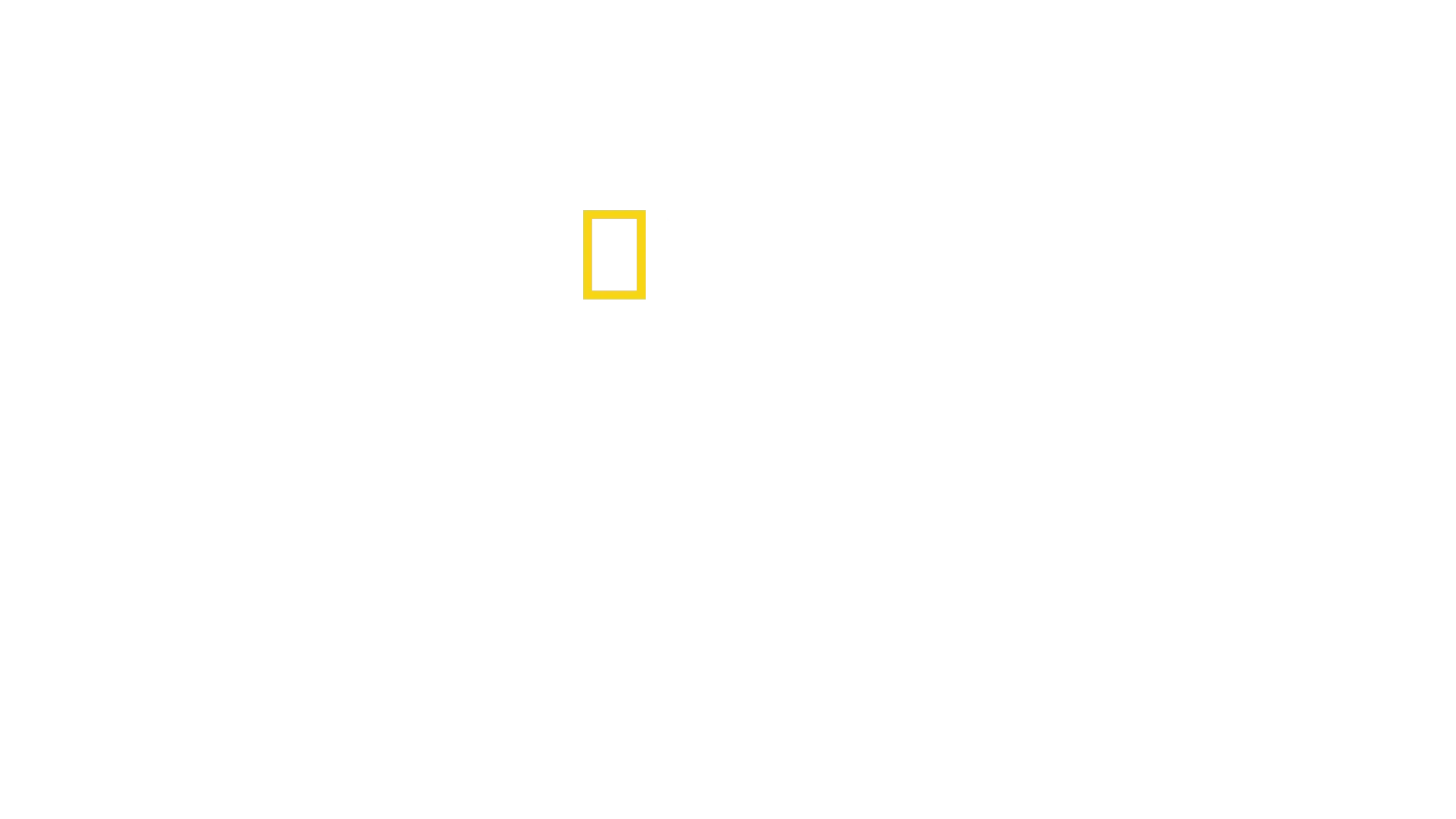 Den vilde natur: Yellowstone
