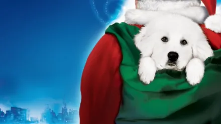 Karácsonyi kutyabalhé