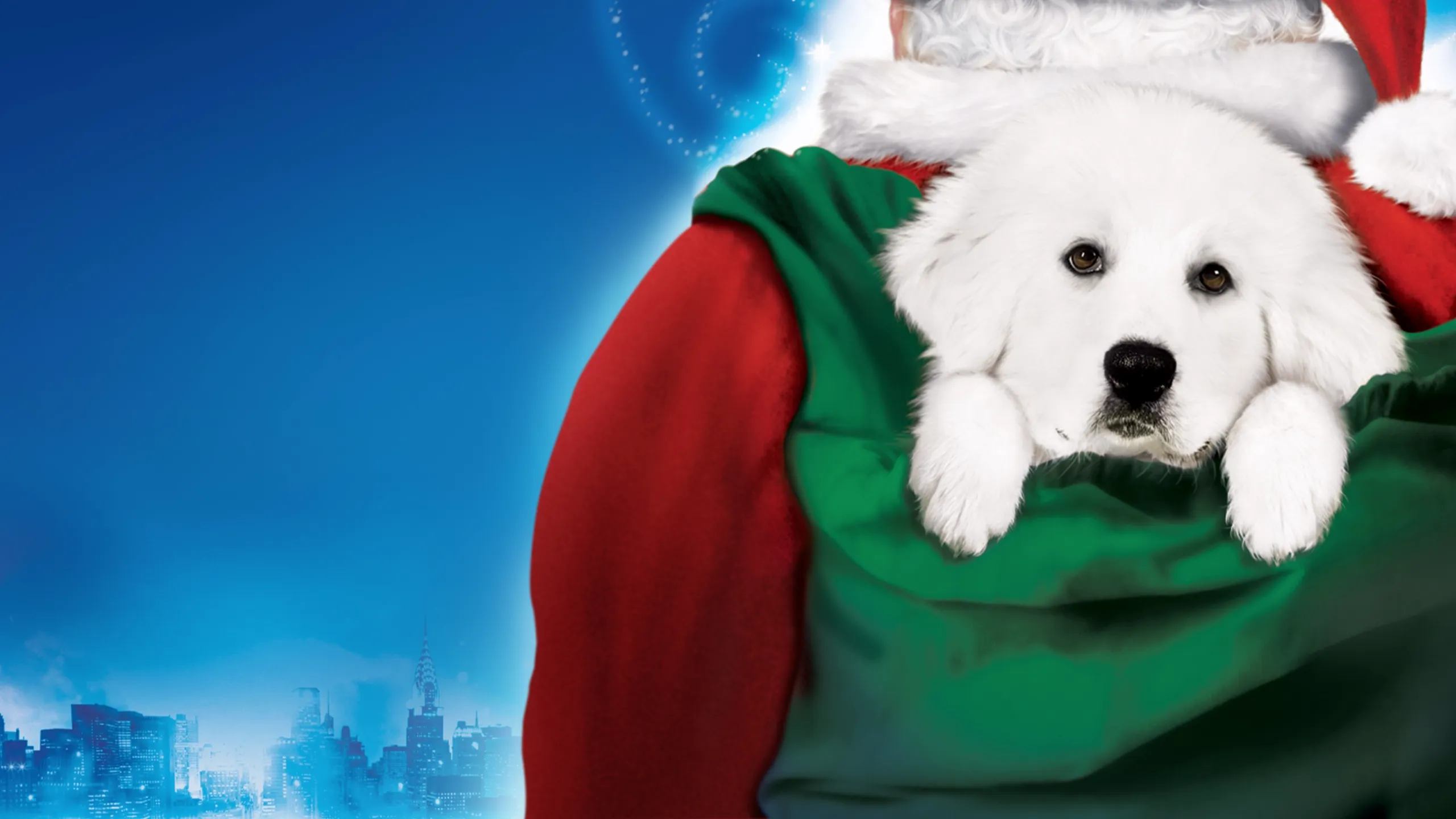 The Search for Santa Paws