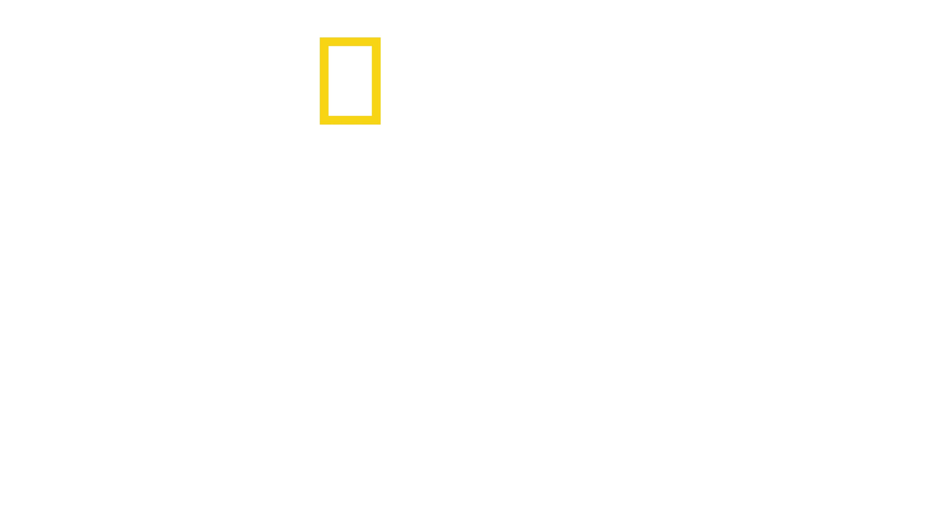 Segredos dos Polvos
