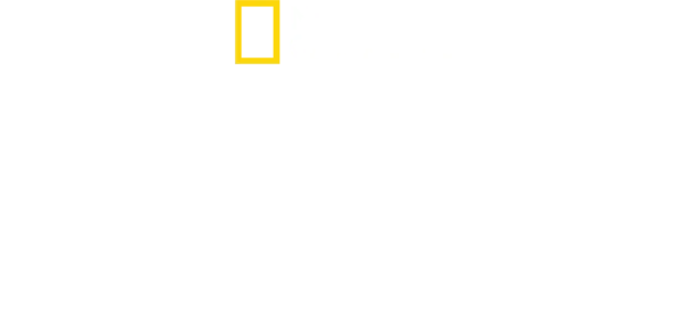 Segredos dos Polvos