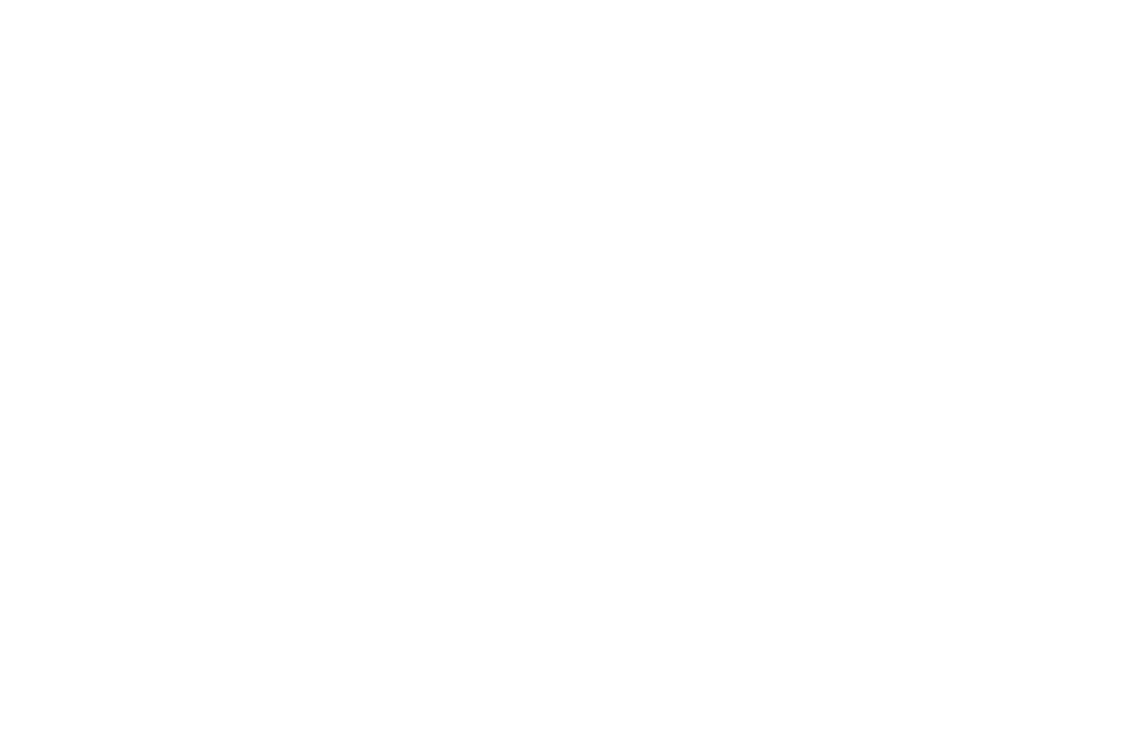 La Neve nel Cuore