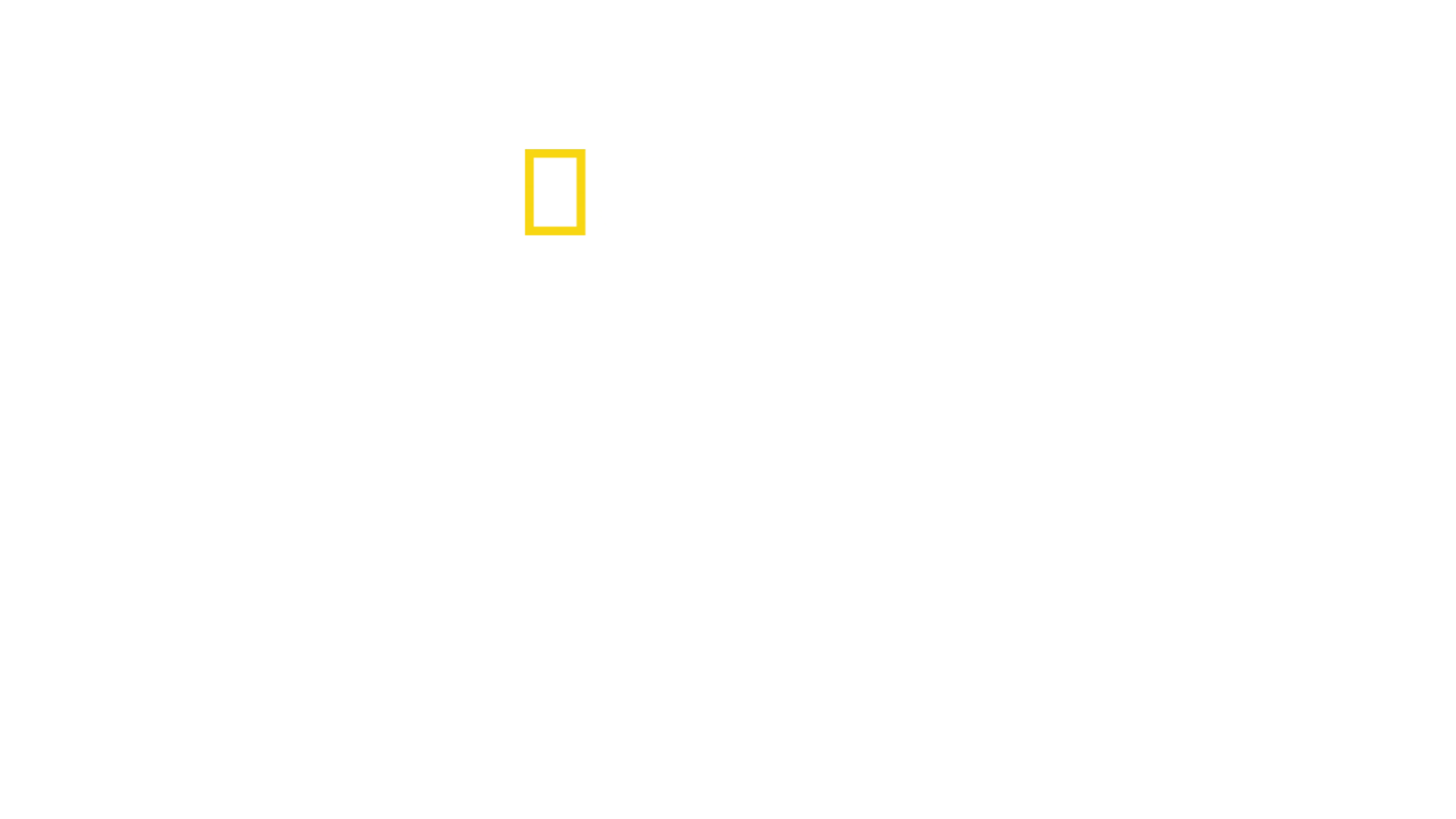 Postęp: historia ludzkości