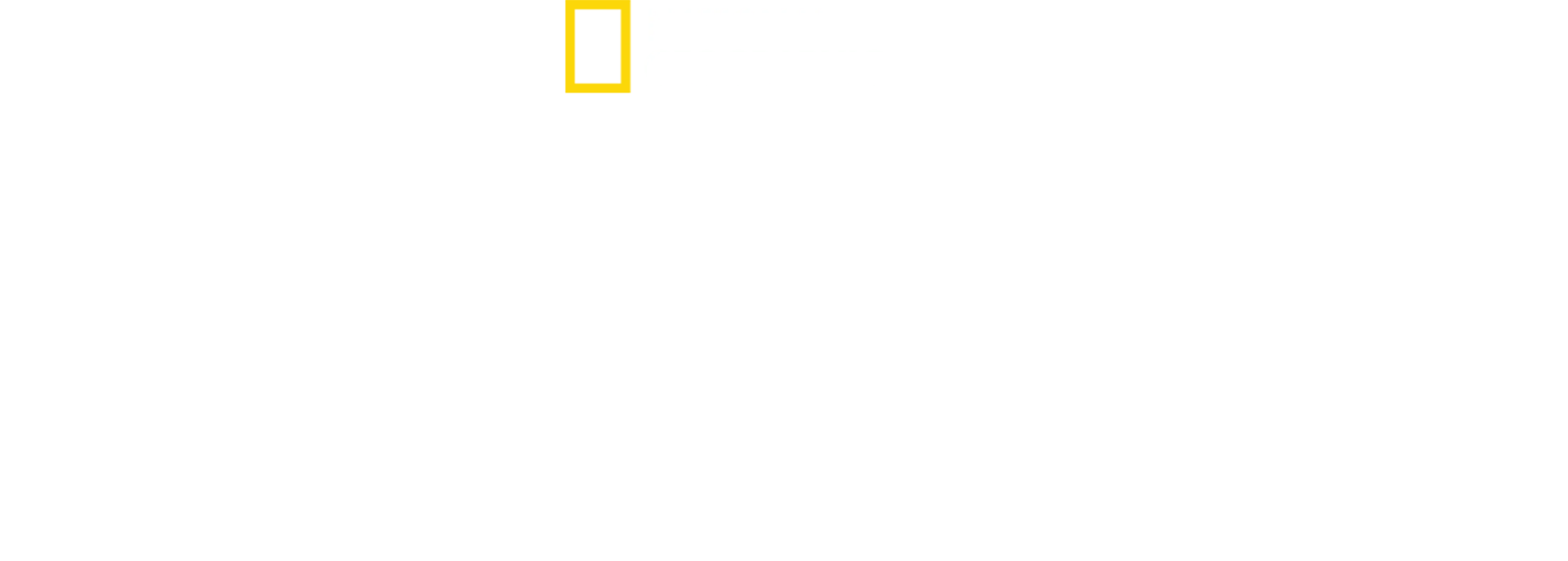 Postęp: historia ludzkości