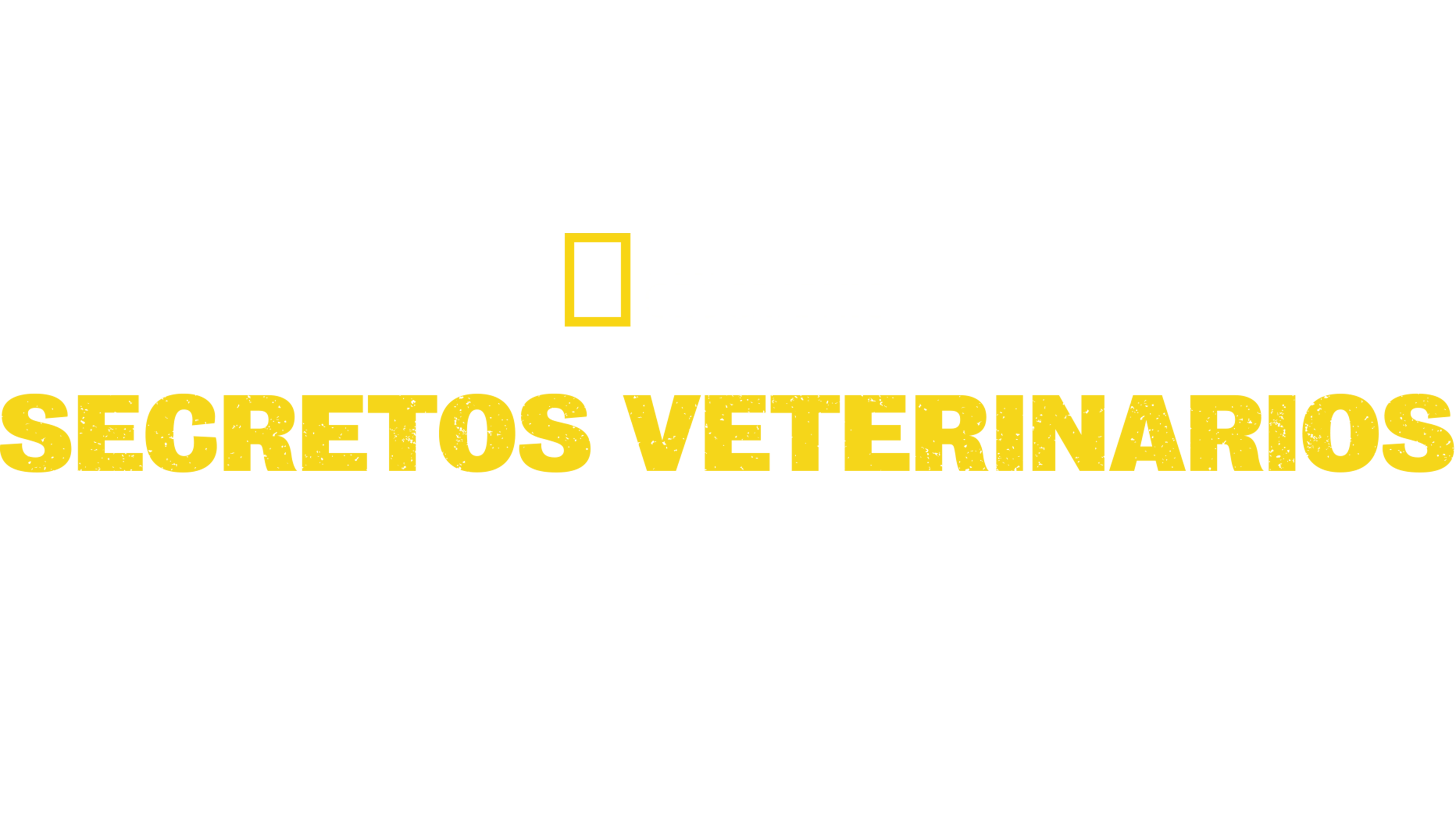 Secretos veterinarios: Carolina del Norte