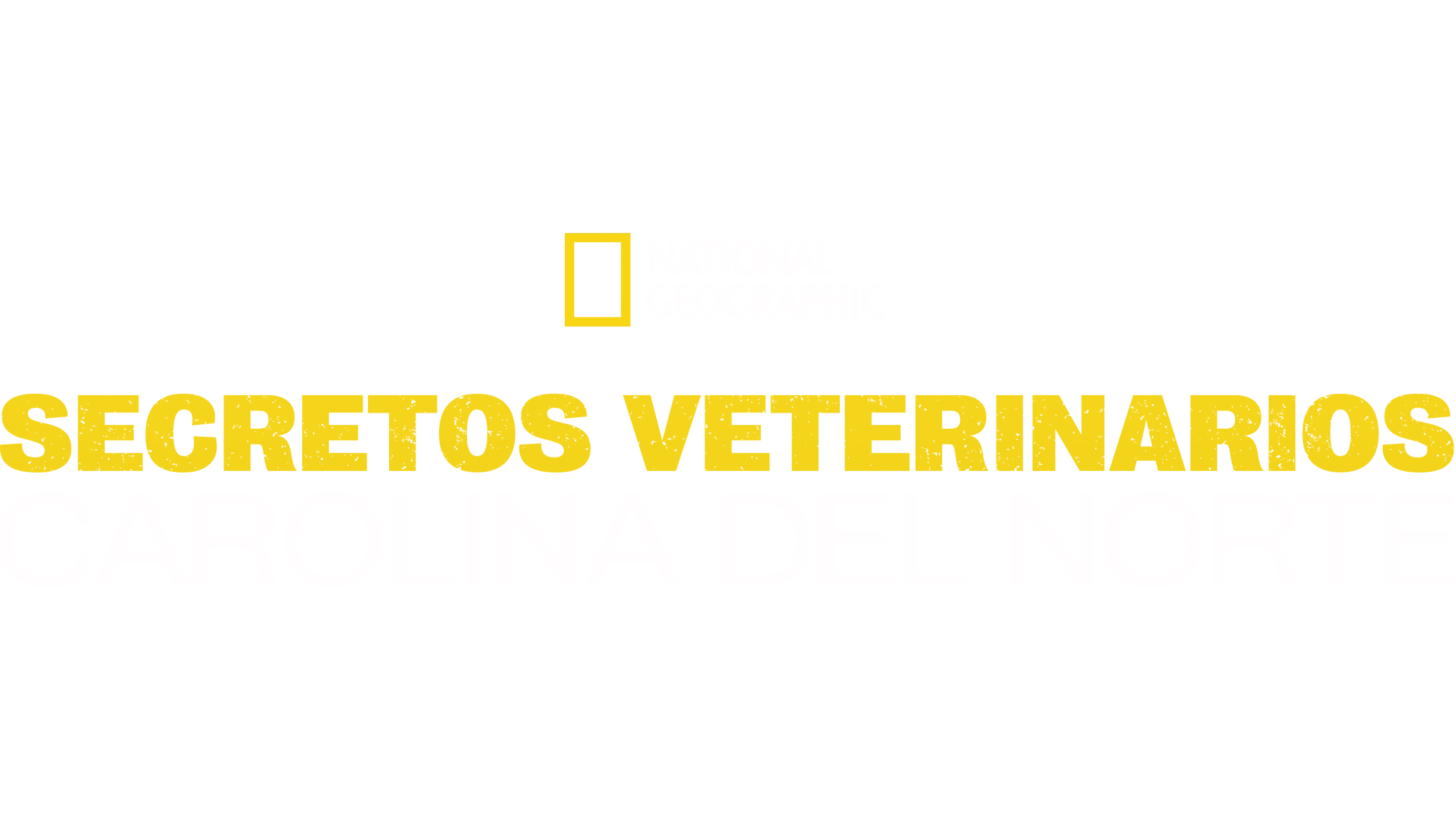 Secretos veterinarios: Carolina del Norte