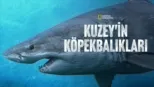 thumbnail - Kuzey'in Köpekbalıkları