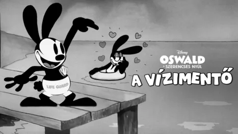 thumbnail - A vízimentő