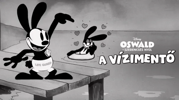 thumbnail - A vízimentő