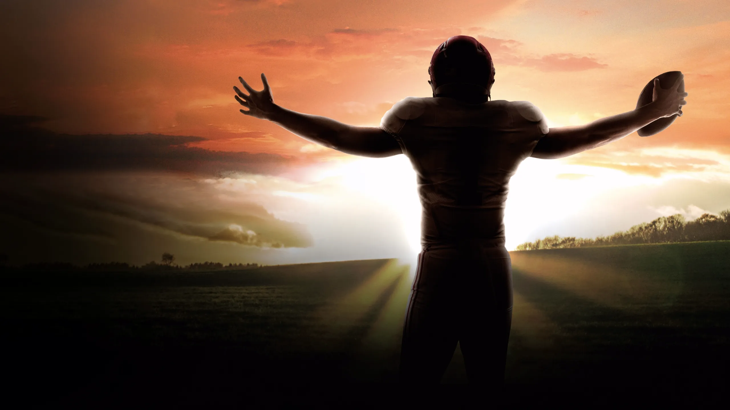 Saturdays in the South: A History of SEC Football