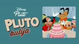 thumbnail - Pluto bulija