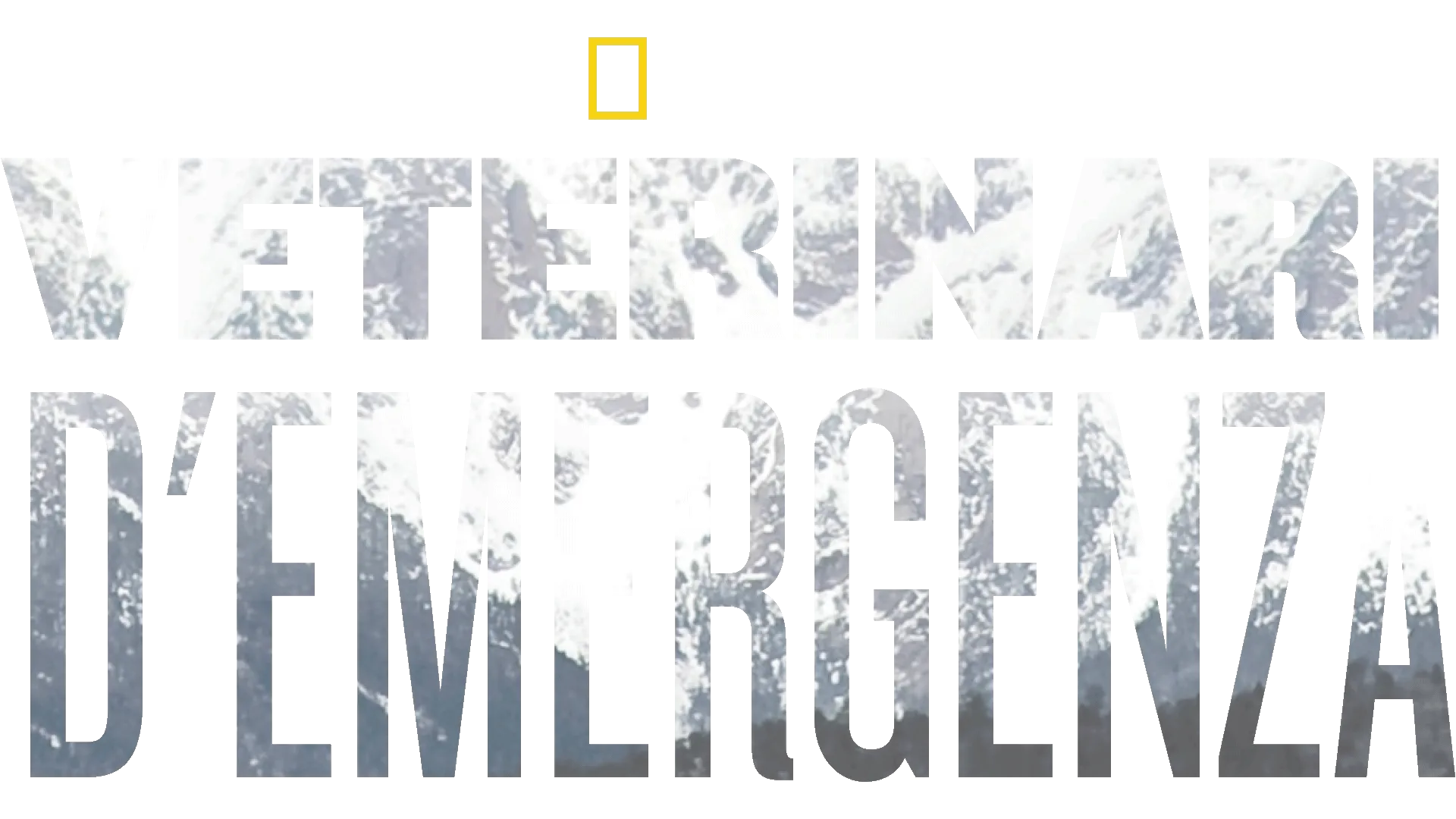 Veterinari d'emergenza