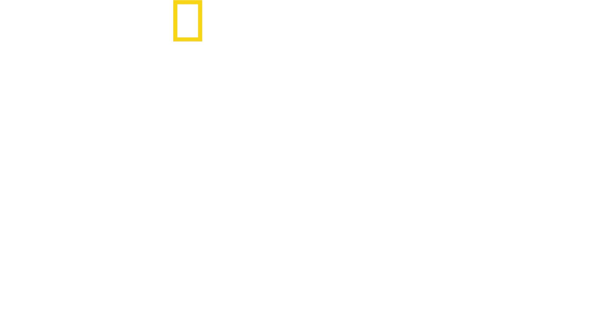데이비드 애튼버러: 바다