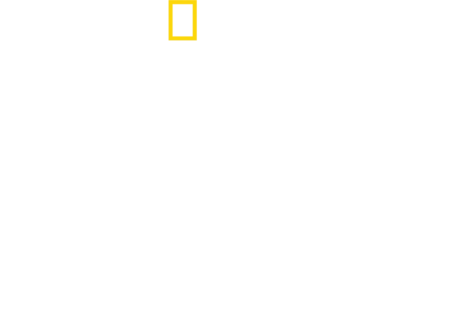 데이비드 애튼버러: 바다
